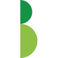 Baker Consulting Logo